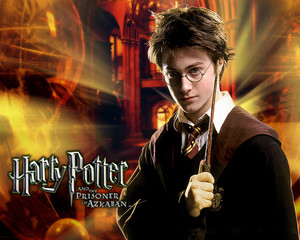  Harry Potter<33