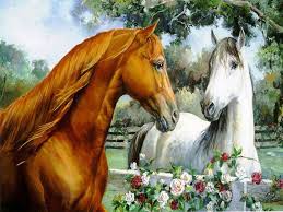  horse 爱情