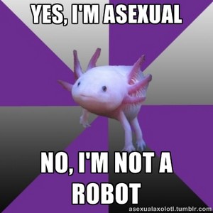  Asexual Axolotl