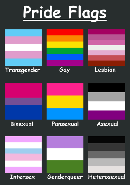 flag. bisexual. flags. pansexual. genderqueer. queer. transgender. trans. l...