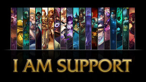  Support