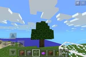 Tree ( oak )