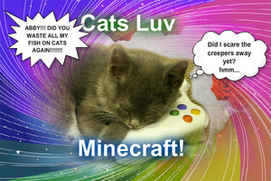  Minecraft（マインクラフト） luv