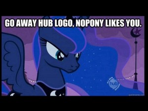  No pony likes that logo