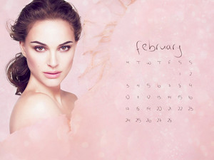  NP.COM Calendar - February (2)