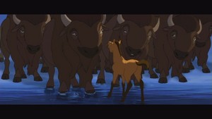  Spirit and the buffalo