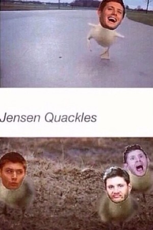  Jensen Quackles