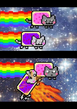  Nyan Cat Falls In Amore