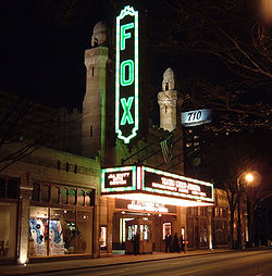  लोमड़ी, फॉक्स sign at night!