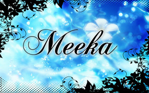 Meeka word art