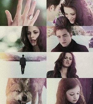  Edward, Bella, Renesmee and Jake