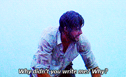  the notebook
