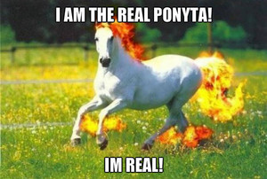  the real ponyta