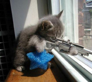  Gunz Up Kitty