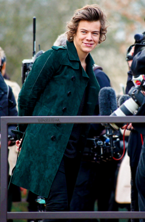 Harry at Burberry Fashion Show