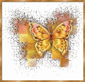  Butterflies♥