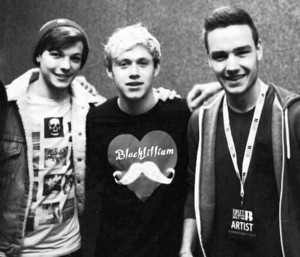  Louis, Niall and Liam