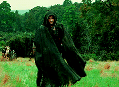  Aragorn green