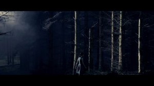  码头, 玛丽娜 and The Diamonds - Lies - 音乐 Video Screencaps