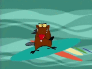 The angry beavers