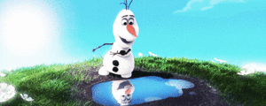  Olaf in summer