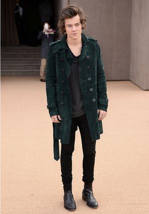  Harry at burberry Fashon mostra