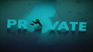  Private penguin, auk