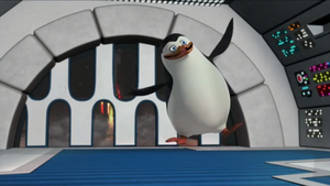 Private pinguin, penguin