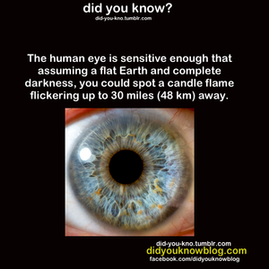 Did You Know?        