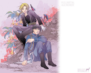  Roy mustango, mustang and Edward Elric