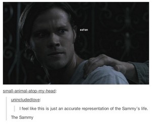  Funny Supernatural (Tumblr)