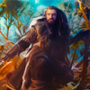  Thorin icono