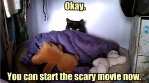  你 can start the scary movie now.