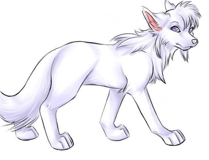 Awesome White anime chó sói, sói - Amazing Người sói bức ảnh (36709418) -  fanpop