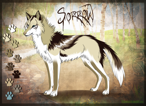  A wolf named Sorrow