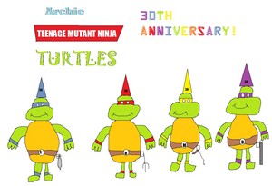  Teenage Mutant Ninja Turtles 30th Anniversary