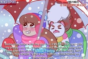 Bee and Puppycat Meme