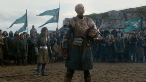  Brienne of Tarth Screencaps