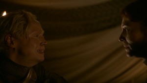 Brienne of Tarth Screencaps