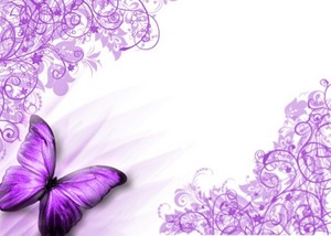  purple 나비 바탕화면