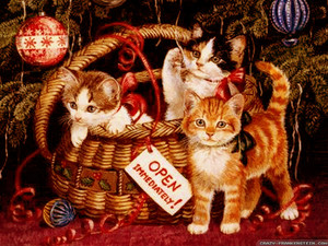 Christmas Kittens in basket.