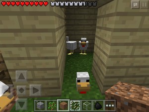 My 《我的世界》 chicken farm laying house