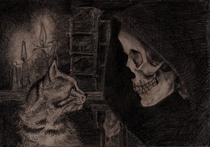  death and a cat