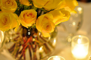  beautiful yellow 花