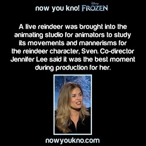 Frozen | Now You Kno!