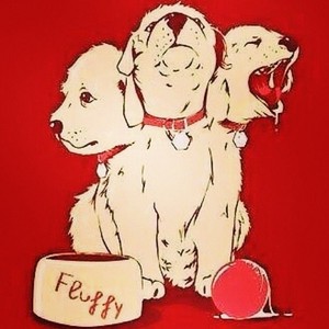  Fluffy the dog