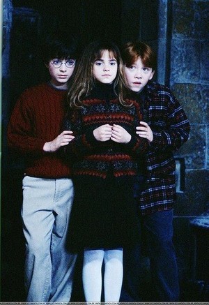 Harry Potter, Ron Weasley and Hermione Granger