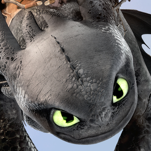  Older Toothless