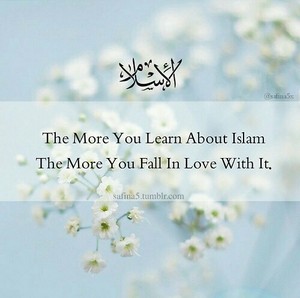 Islamic Reflections
