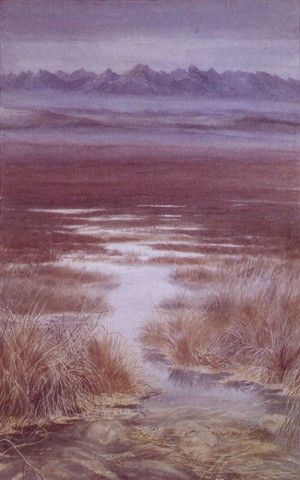 The Marshes by Alan Lee